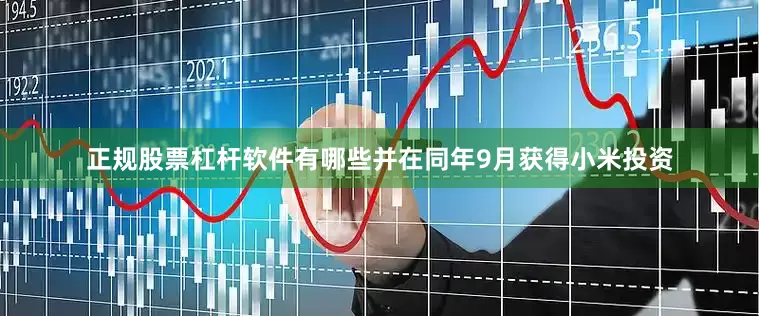 正规股票杠杆软件有哪些并在同年9月获得小米投资
