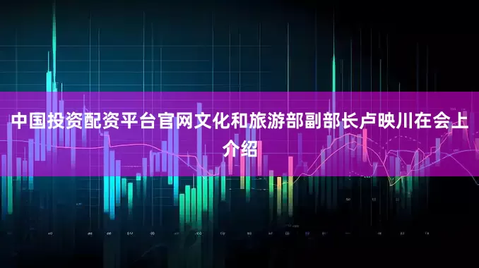中国投资配资平台官网文化和旅游部副部长卢映川在会上介绍